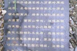 开云体育app-关于轮番角逐，激战不休，胜利者唯有坚韧不拔的信息