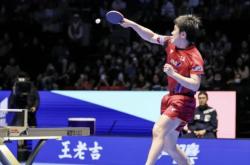 开云平台-关于法国乒乓球队完胜德国乒乓球队，张本智和送出助攻的信息