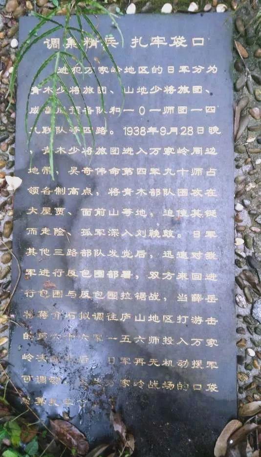 关于轮番角逐，激战不休，胜利者唯有坚韧不拔的信息