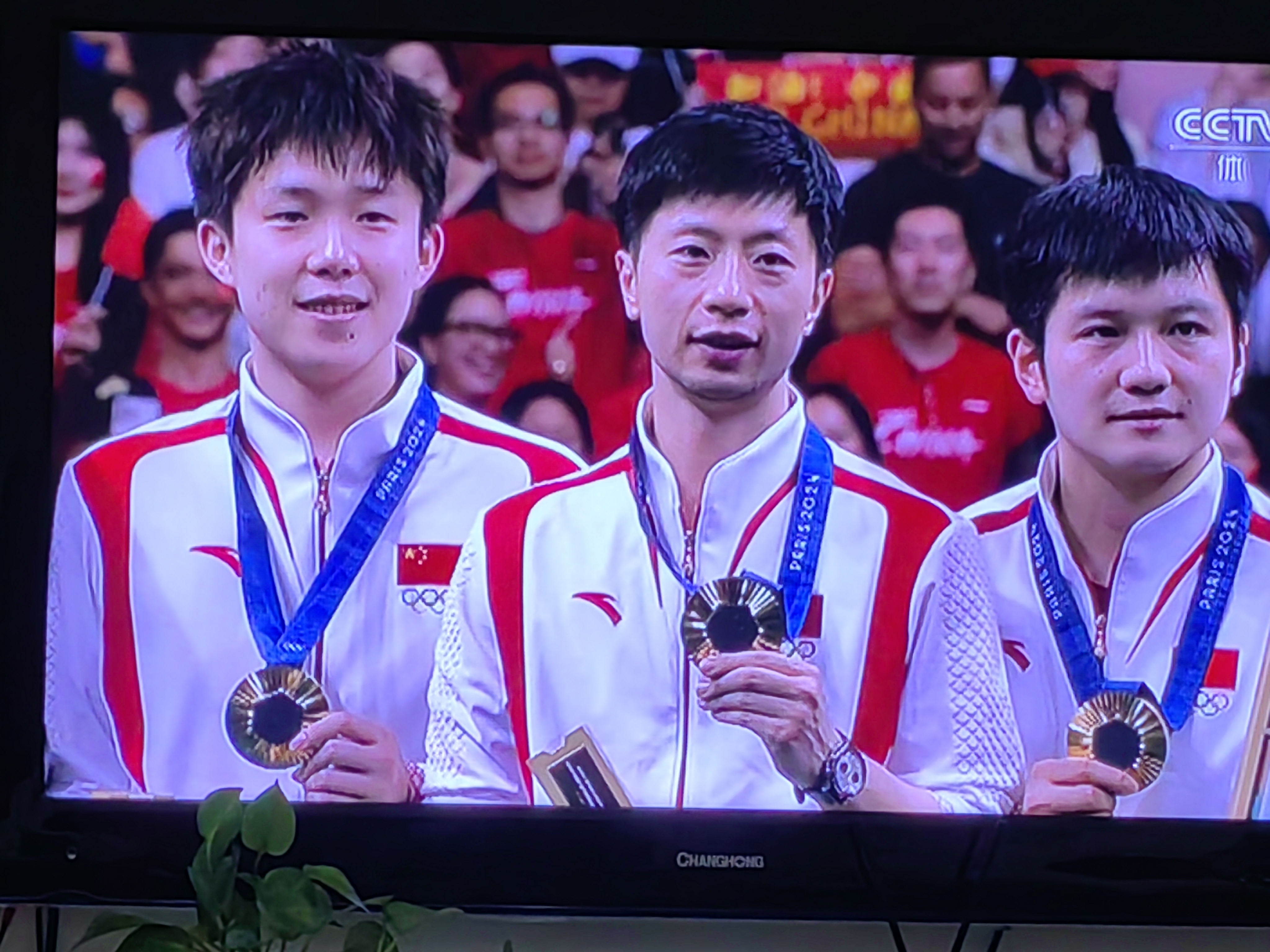 包含中国乒乓球队逆转瑞典乒乓球队，波尔送出助攻的词条